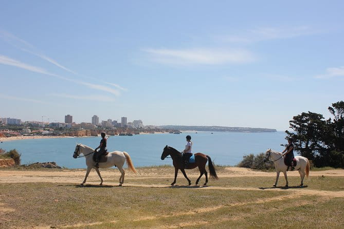 Algarve - Exclusive horseriding in Portimao (no experience required) - Key Points