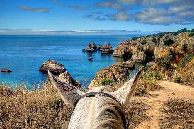 Algarve - Exclusive horseriding in Portimao (no experience required) - Exploring the Portimao Horseback Riding Experience