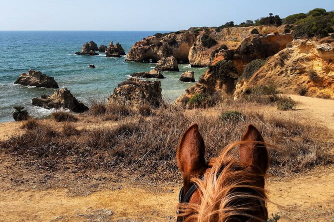 Algarve - Exclusive horseriding in Portimao (no experience required) - FAQ