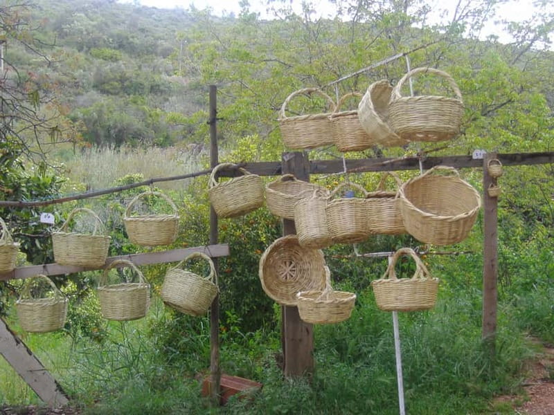 Algarve: Flavors and Traditions Tour - Discovering the Heart of Algarve’s Inland