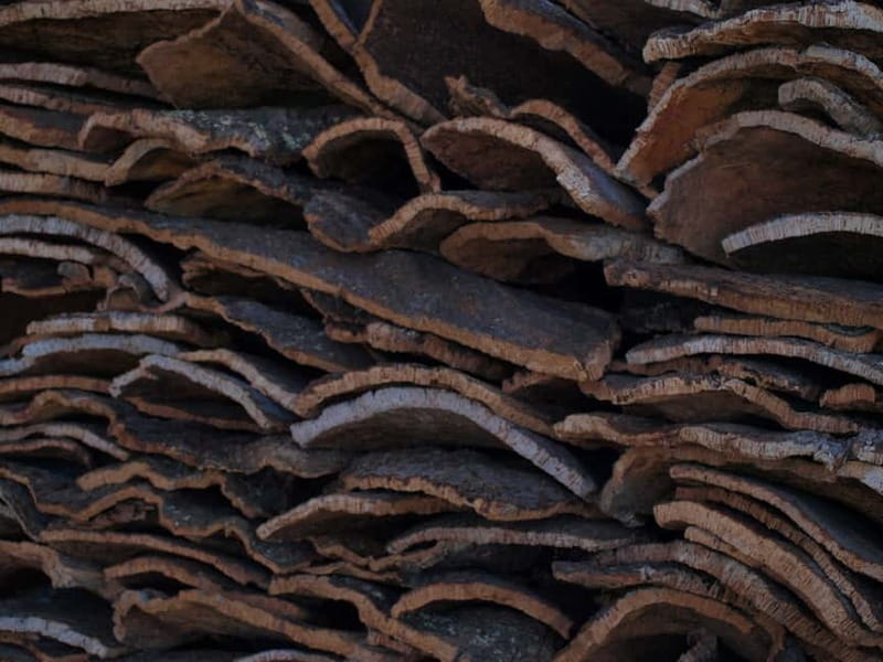 Algarve: Flavors and Traditions Tour - Practical Tips for Your Trip