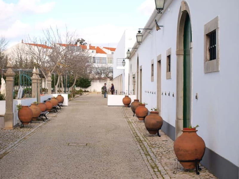 Algarve: Flavors and Traditions Tour - Final Thoughts