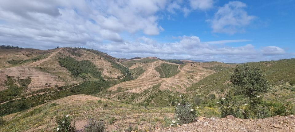 Algarve: Half Day Getaway - 3 Hours off Road Buggy Tour - Highlights of the Tour