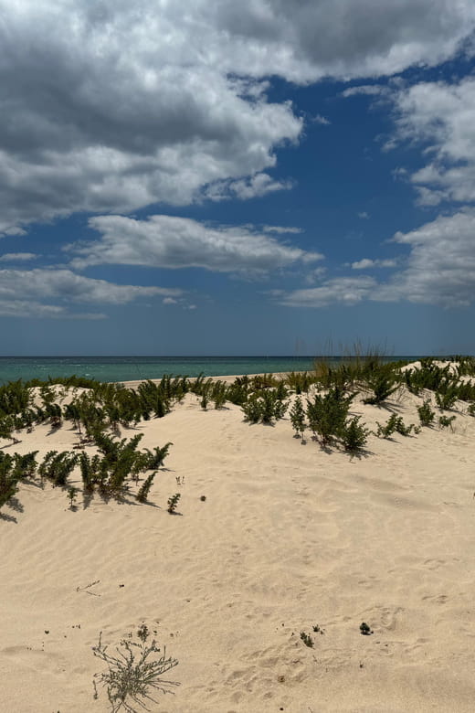 Algarve, Lisbon; V.I.P. Women's road trip with female guide - Setting the Scene: An Authentic Algarve Adventure