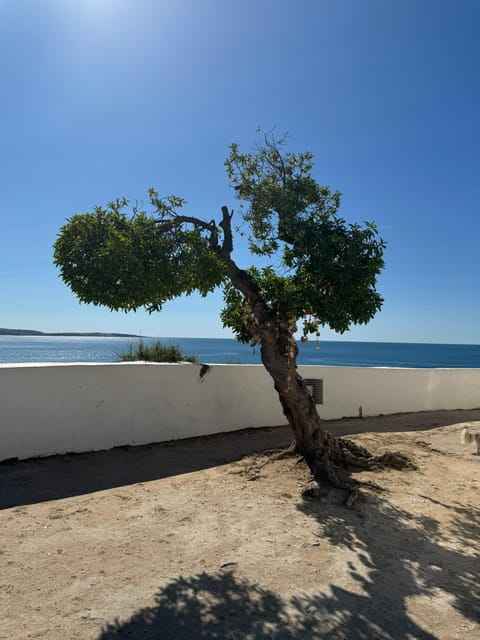 Algarve, Lisbon; V.I.P. Women's road trip with female guide - The Price & Value: Is It Worth It?