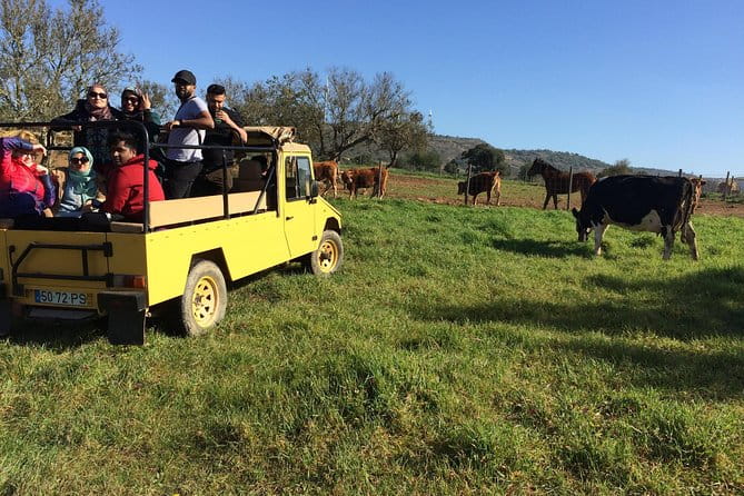 Algarve Mountains & Villages - Half Day Jeep Safari Trip - Key Points