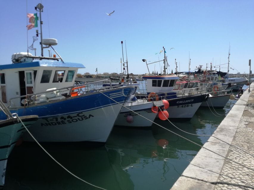 Algarve: Off-the-Beaten-Path Day Trip - Highlights