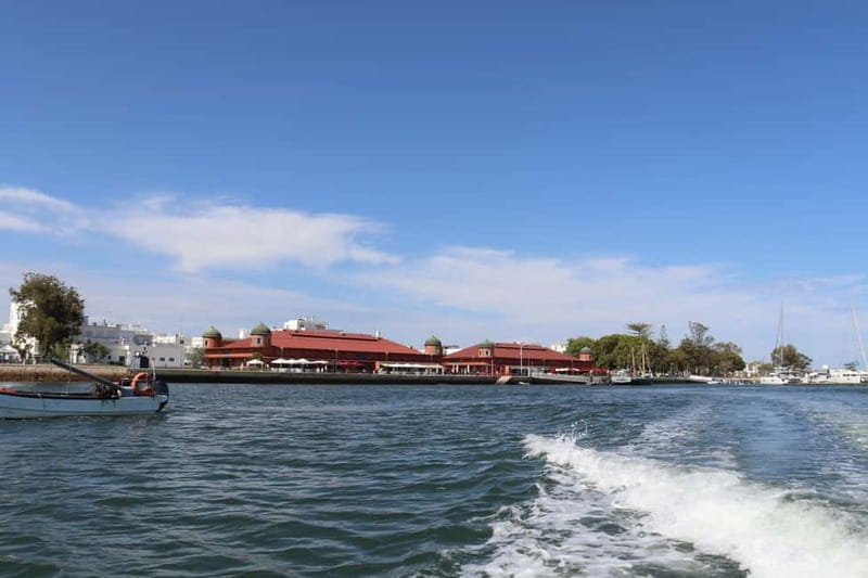 Algarve: Olive Oil, Market, and Ria Formosa Boat Tour - Exploring the Algarves Cultural and Natural Highlights