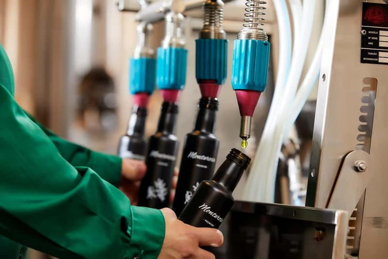 Algarve: Olive Oil, Market, and Ria Formosa Boat Tour - Price and Value Analysis