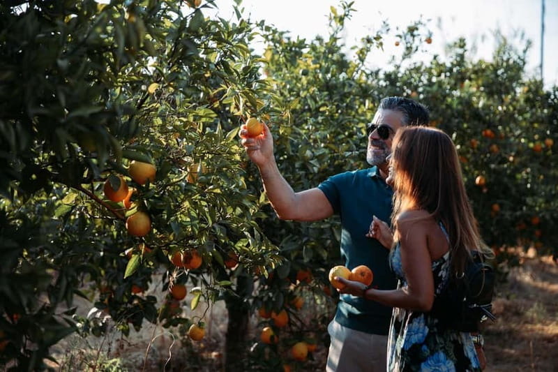 Algarve: Silves, Orange Grove & Monchique Mountains Tour - Final Thoughts