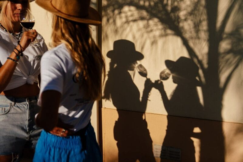 Algarve: Vineyard Tour & Premium Wine Tasting in Silves - Key points / Takeaways