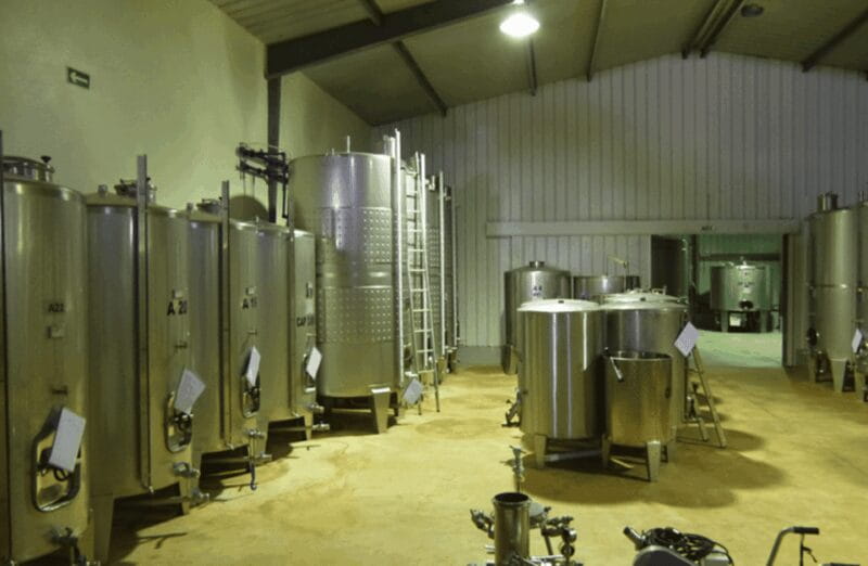 Algarve Wine Tour of two estates guided by wine expert - The Sum Up: Why This Tour Stands Out