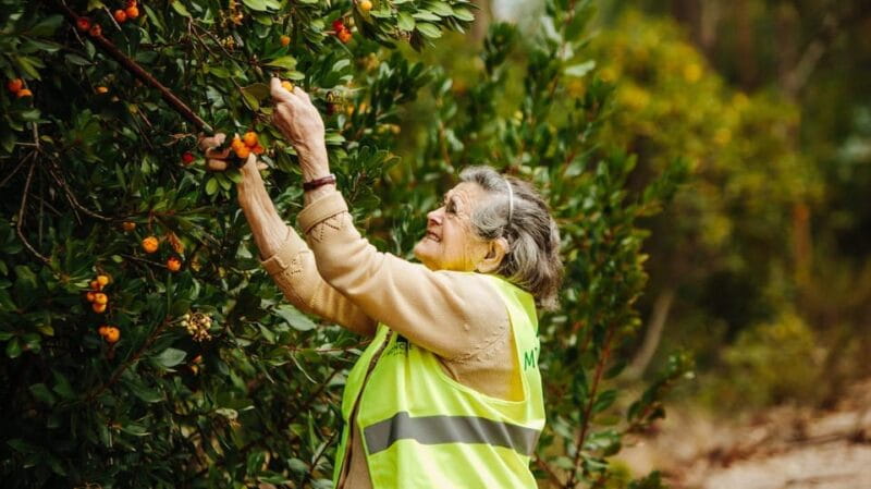 ALGARVE'S ARBUTUS BERRY TRAIL - Key points / Takeaways