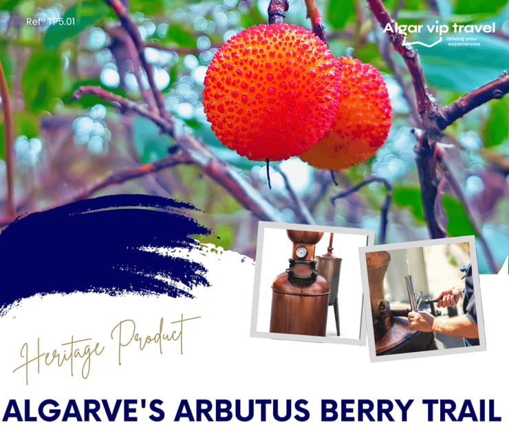 ALGARVE'S ARBUTUS BERRY TRAIL - A Closer Look at Algarves Arbutus Berry Trail