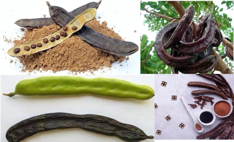 ALGARVE'S CAROB TRAIL - Key Points / Takeaways