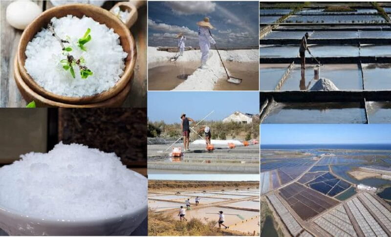 ALGARVE'S SALT TRAIL - Introduction: A Unique Taste of Portugal’s Salt History