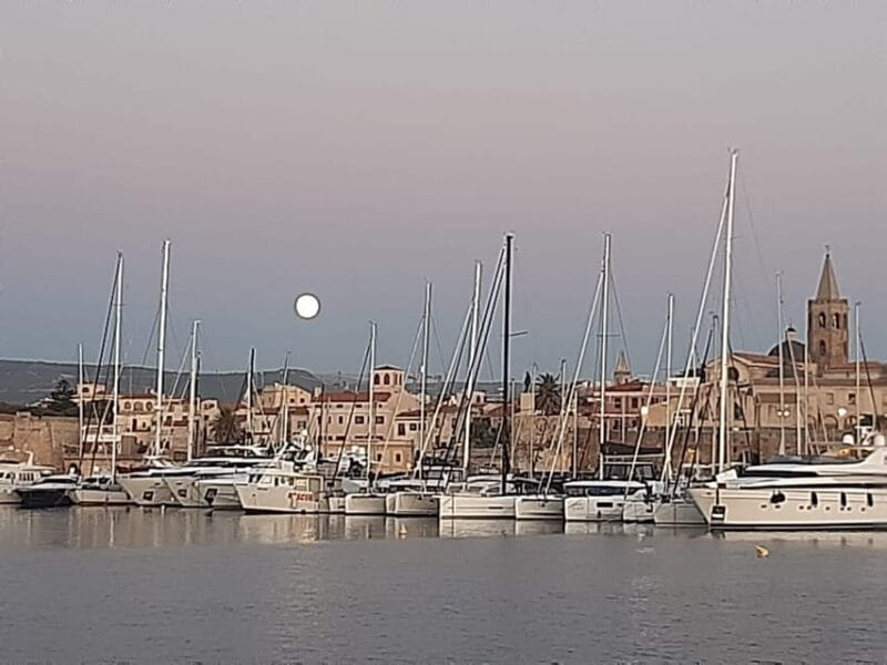 Alghero catamaran sunset tour Alghero - Who Will Love This Experience?