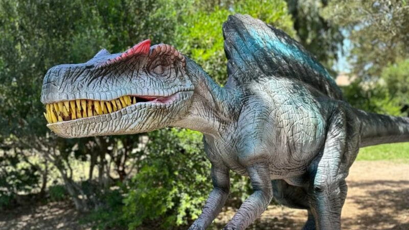 Alghero: Discover dinosaurs in Porto Conte Park - Key points / Takeaways