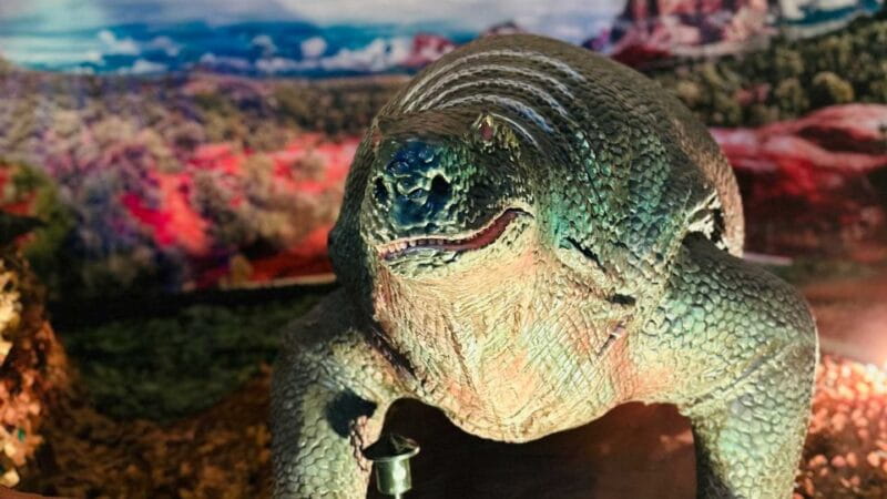 Alghero: Discover dinosaurs in Porto Conte Park - The Value of the Experience