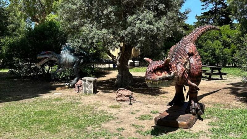 Alghero: Discover dinosaurs in Porto Conte Park - Practical Tips for Visiting