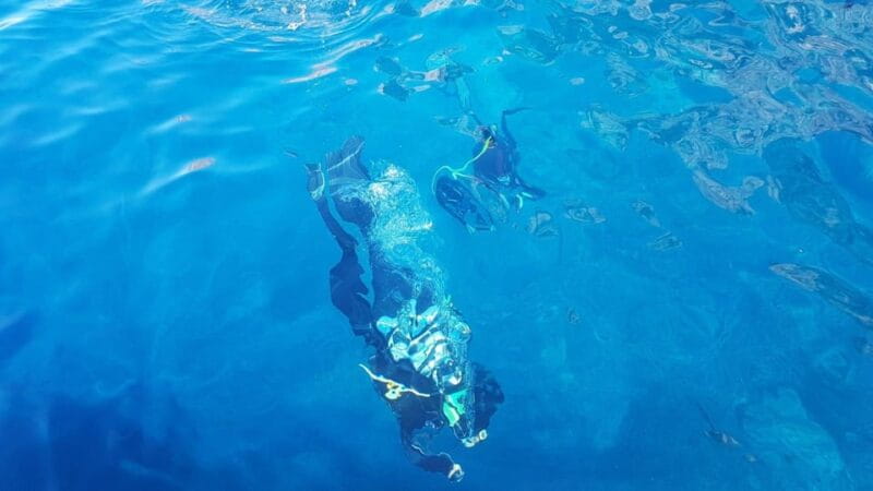 Alghero: discovery diving lesson for beginners - Analyzing the Price and What You Get