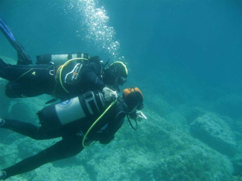 Alghero: diving for professionals at Capo Caccia - Key Points / Takeaways
