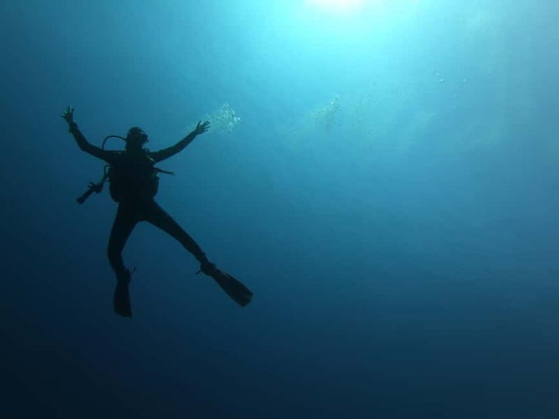 Alghero: Diving - Discovering Alghero’s Underwater Wonders: A Dive Experience Worth Your Time