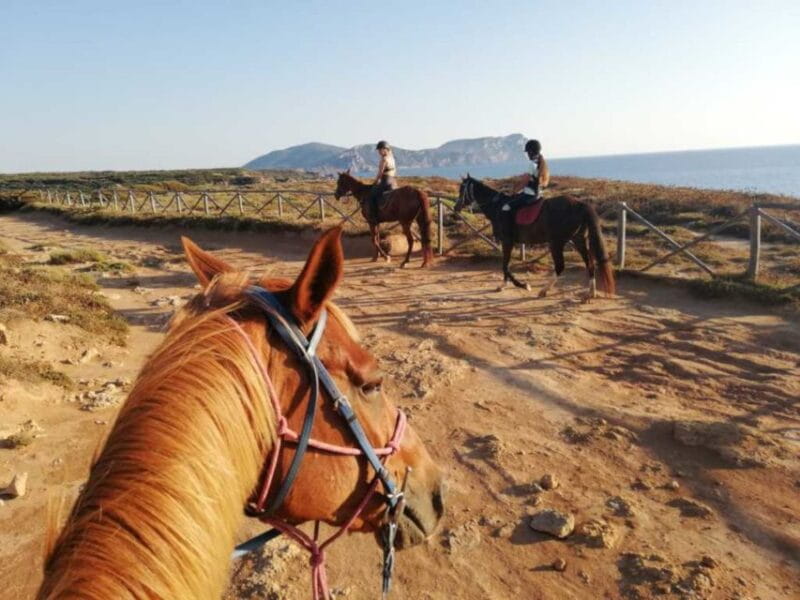 Alghero: Guided Horseback Ride at Lake Baratz & Porto Ferro - Discover the Beauty of Sardinia on Horseback: Lake Baratz & Porto Ferro Adventure