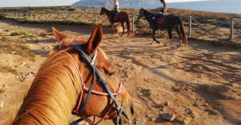 Alghero: Guided Horseback Ride at Lake Baratz & Porto Ferro - Key Points and Takeaways
