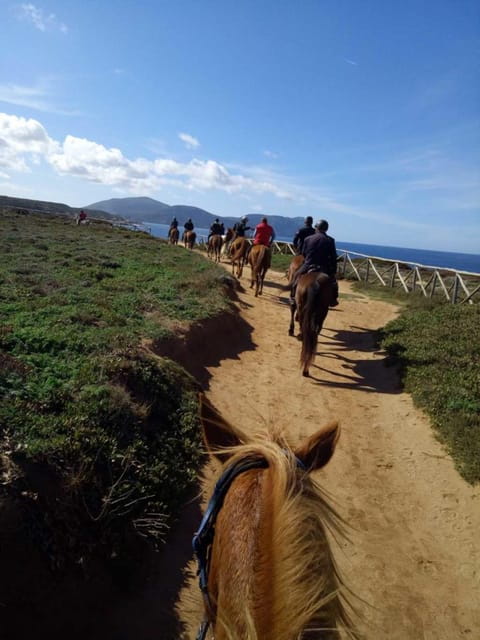 Alghero: horseback riding for experts in Lake Baratz - Key Points / Takeaways