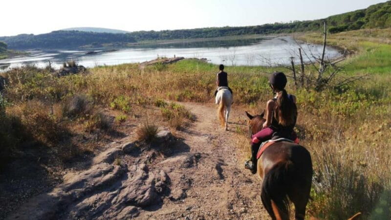 Alghero: horseback riding for experts in Lake Baratz - Practical Details: Booking, Timing, and What to Bring