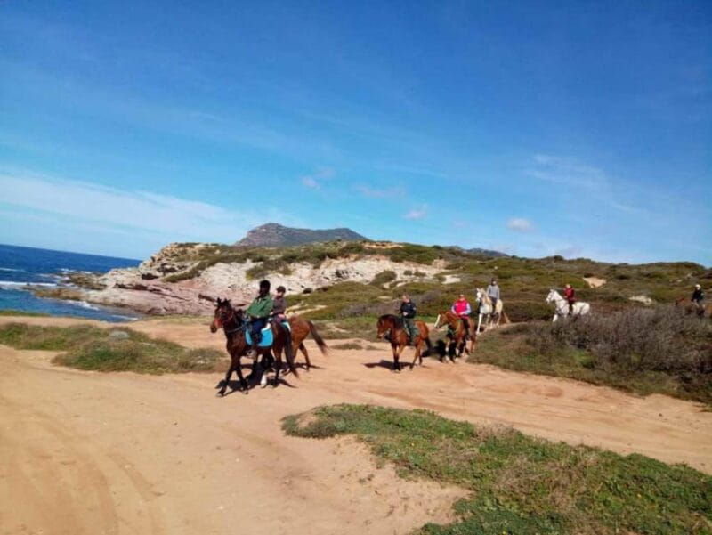 Alghero: horseback riding for experts in Lake Baratz - Who Will Love This Ride?