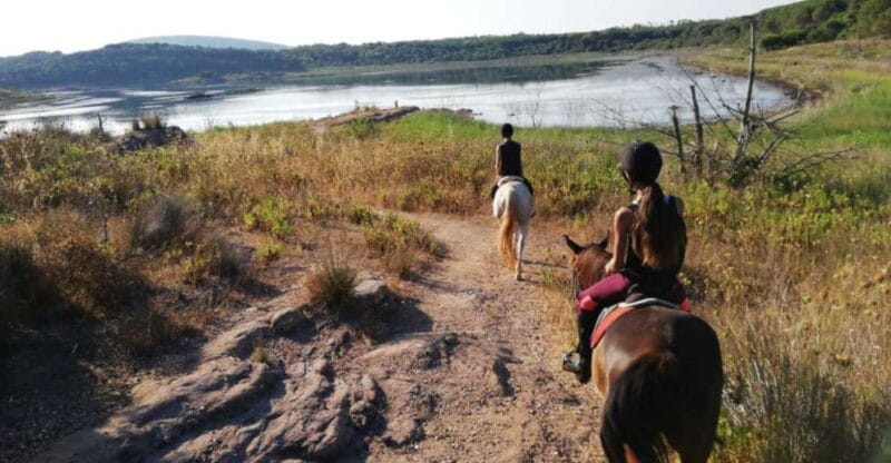 Alghero: Lake Baratz Guided Horseback Ride - Key Points / Takeaways