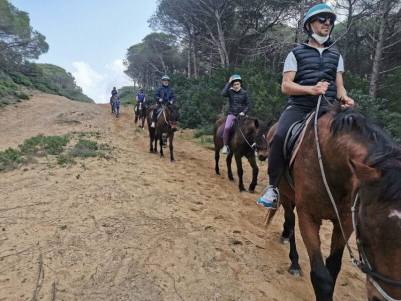 Alghero: Lake Baratz Guided Horseback Ride - FAQ