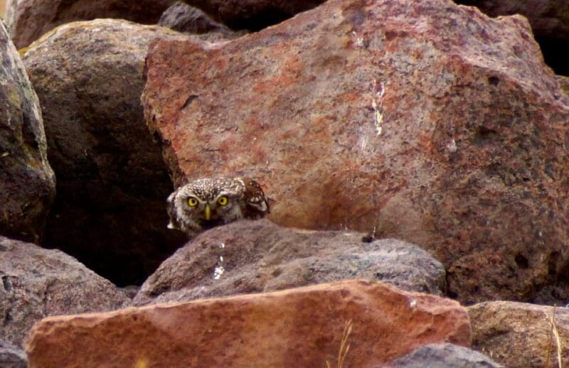 Alghero: Nature, Culture and Breathtaking Views Tour by Jeep - Key points / Takeaways