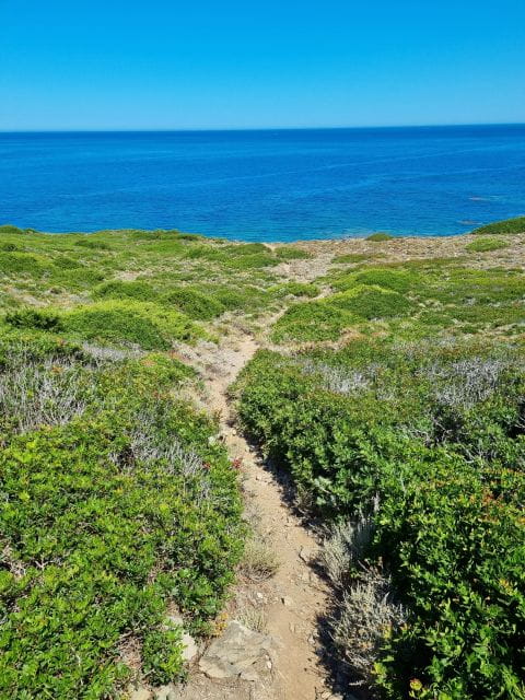 Alghero: Secret Beaches & Coastal tour by Land - Key points / Takeaways