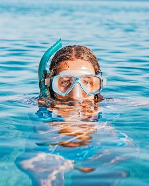 Alghero: Snorkeling tour for small groups with local guide - Price and logistics - what to consider