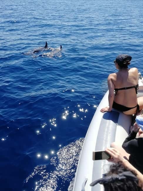 Alghero: Snorkeling tour for small groups with local guide - Final thoughts: Is this snorkeling tour worth it?