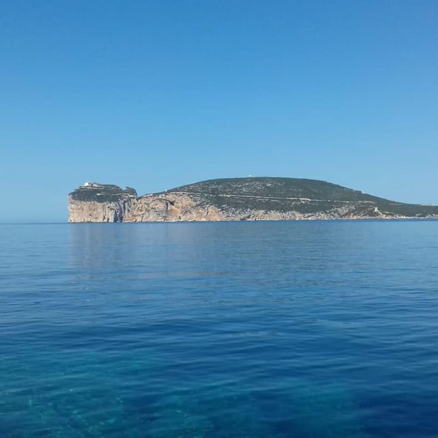 Alghero: snorkelling and tour of Capo Caccia cliffs - FAQ: Your Questions Answered