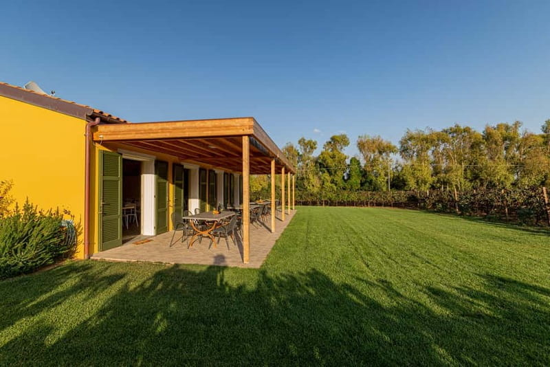 Alghero: Sunset Wine and Olive Oil Tour in Boutique Winery - Exploring the Tour in Detail