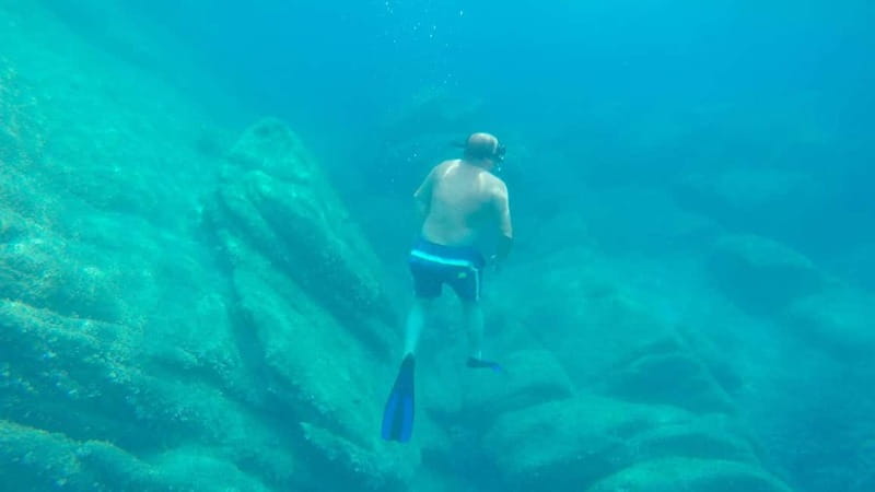 Alghero: Trekking and Snorkelling Tour in Porto Conte Park - Snorkeling with a Marine Biologist: An Educational Underwater Adventure