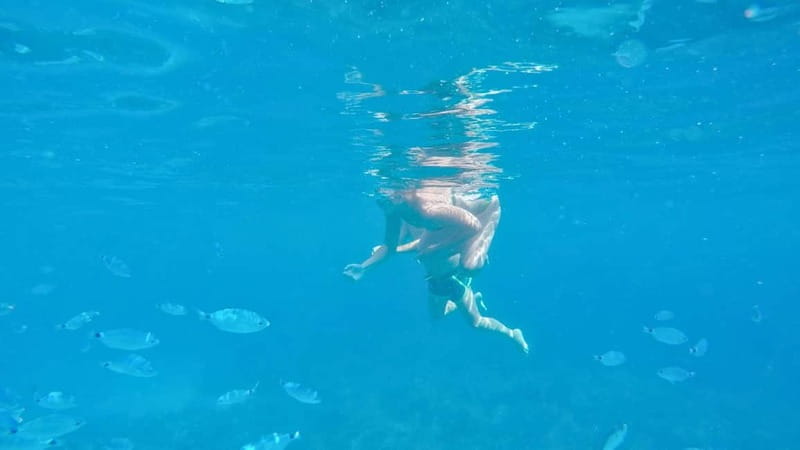 Alghero: Trekking and Snorkelling Tour in Porto Conte Park - Who Would Love This Tour?
