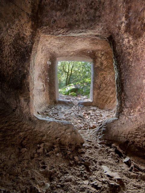 Alghero: trekking in the Porto Conte park - The Sum Up