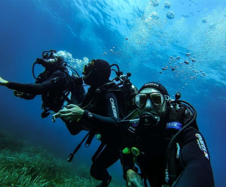Alghero: Try dive. Scuba diving for beginners. - Price and Logistics