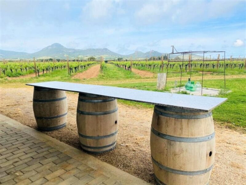 Alghero: wine tasting w/ local aperitif in the vineyard - Discovering the Sardinian Vineyard: What to Expect