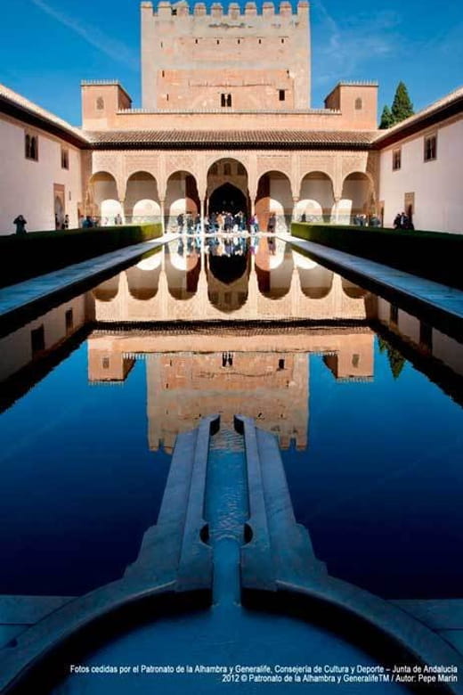 Alhambra Guided Tour and Flamenco Show With Optional Dinner - Inclusions and Accessibility