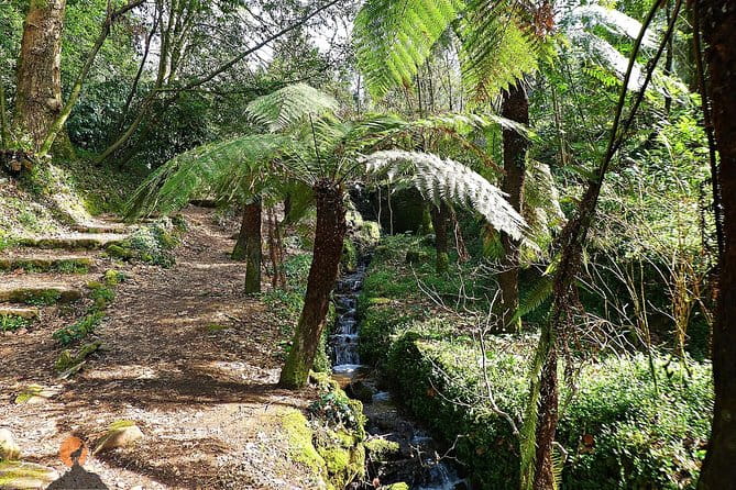 Aliança Underground Museum and Mata do Bussaco - Coimbra - The Sum Up