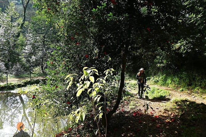 Aliança Underground Museum and Mata do Bussaco - Coimbra - FAQ