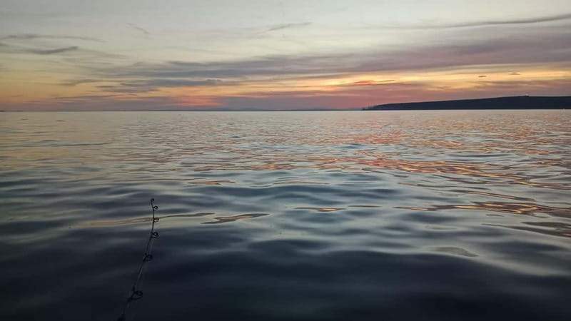 Alicante 5-Hour Fishing Excursion with Pro Fishing Guide - Price and Logistics: Is it Good Value?