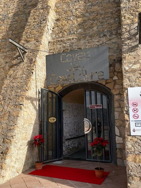 Alicante: Canelobre Caves & Busot Tour including transfer - The Practical Side: Price, Logistics, and Value